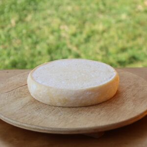 Grana Andino Tauquinito